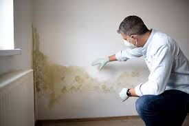 Reliable Brightwood, VA Mold Remediation Solutions